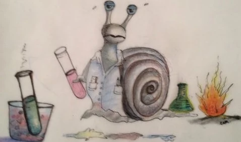 The Science Snail