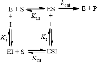 Non-competitive inhibition kinetic scheme