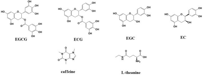 Bioactive compounds catechins green tea